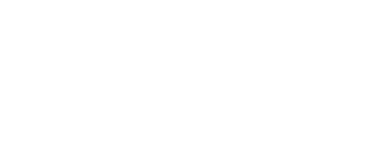 Blu | Logo White