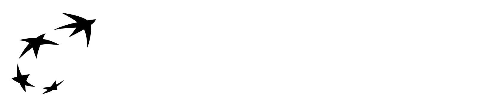 BNL BNP Paribas | Logo White